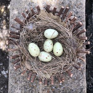 Faux Robins Nest Home Decor